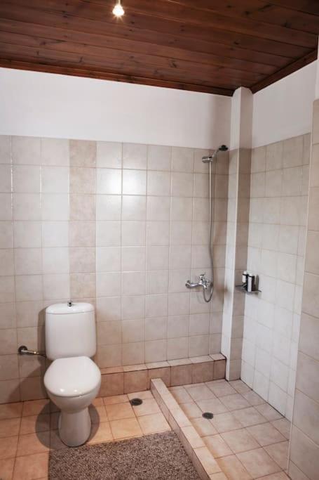 Vlacherna Bezeniko Amazing Arcadian Property! מראה חיצוני תמונה
