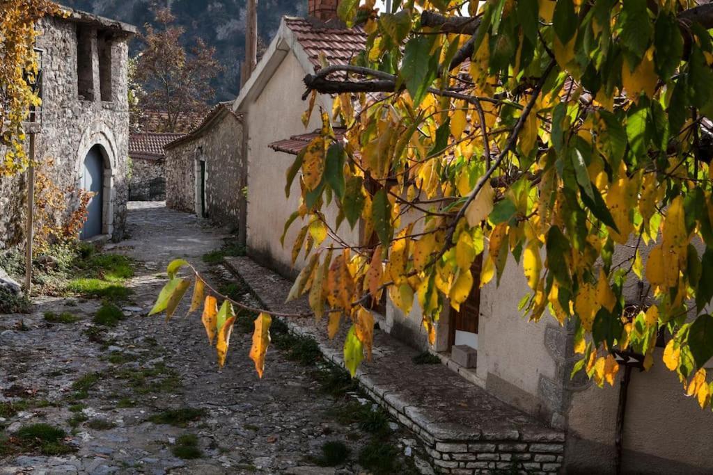 Vlacherna Bezeniko Amazing Arcadian Property! מראה חיצוני תמונה